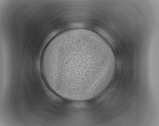 X0000111891090200908061329