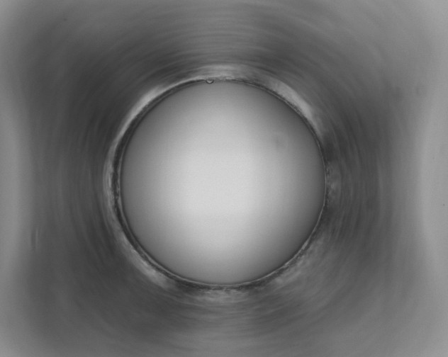 X0000111891091200908061329