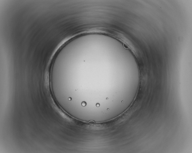 X0000111891092200908061329