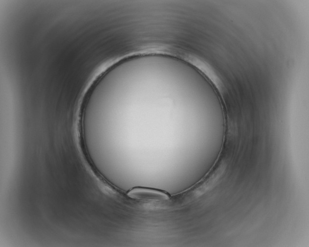 X0000111891093200908061329