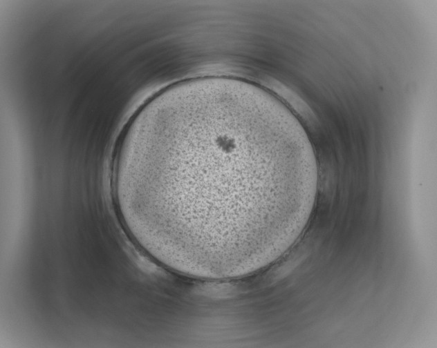 X0000111891094200908061329