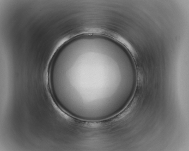 X0000111891095200908061329