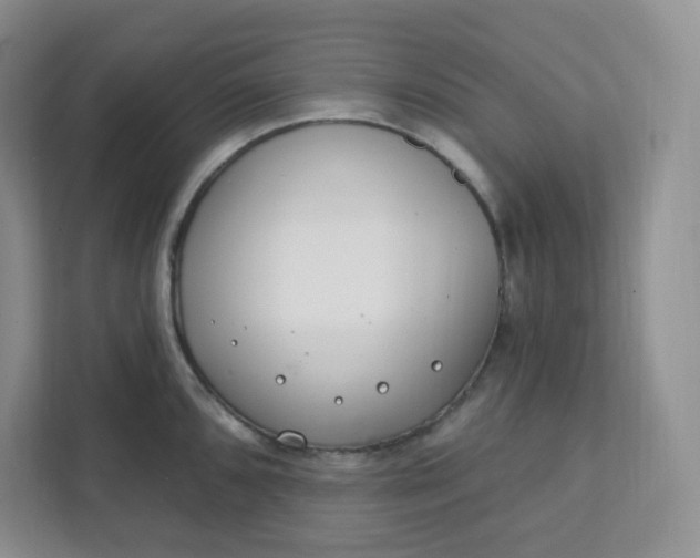 X0000111891096200908061329