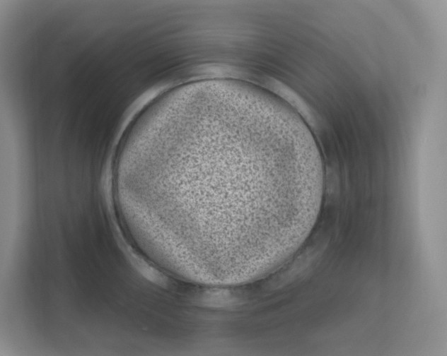 X0000111891098200908061329