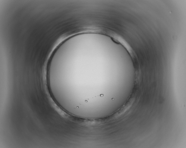 X0000111891099200908061329