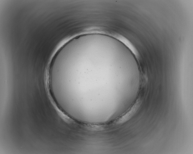 X0000111891101200908061329