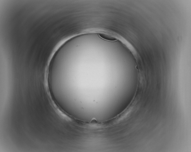 X0000111891102200908061329