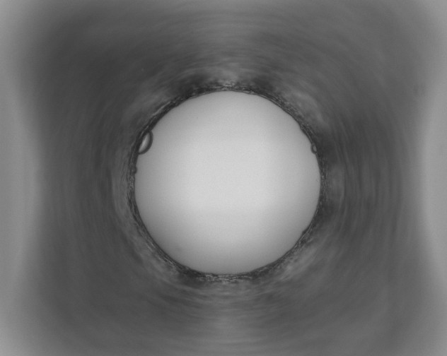 X0000111891105200908061328