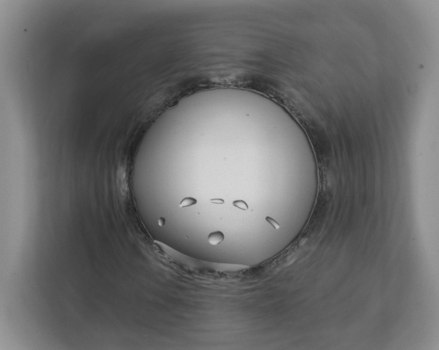 X0000111891106200908061328