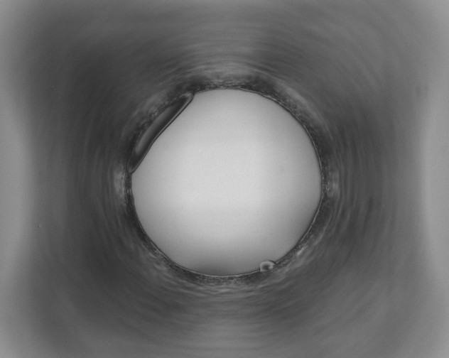 X0000111891108200908061328