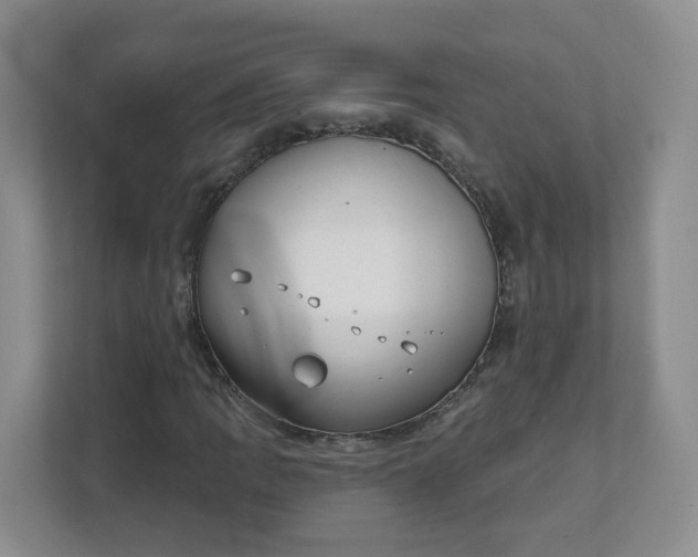 X0000111891109200908061328