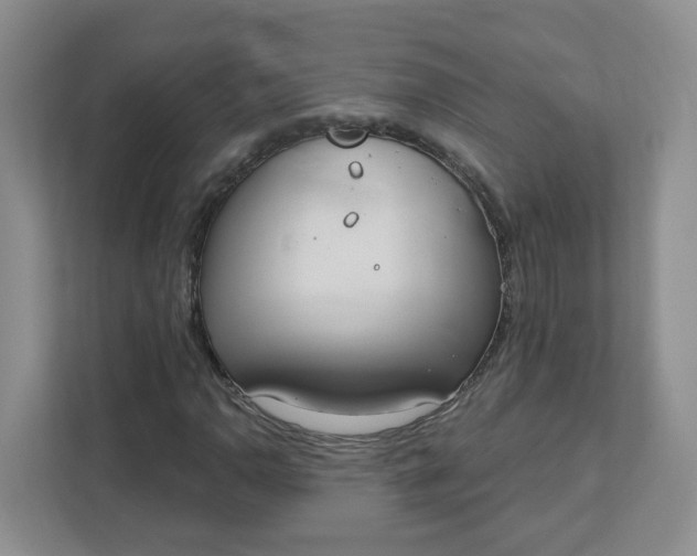 X0000111891110200908061328