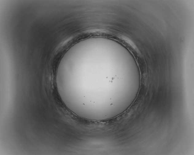 X0000111891111200908061328