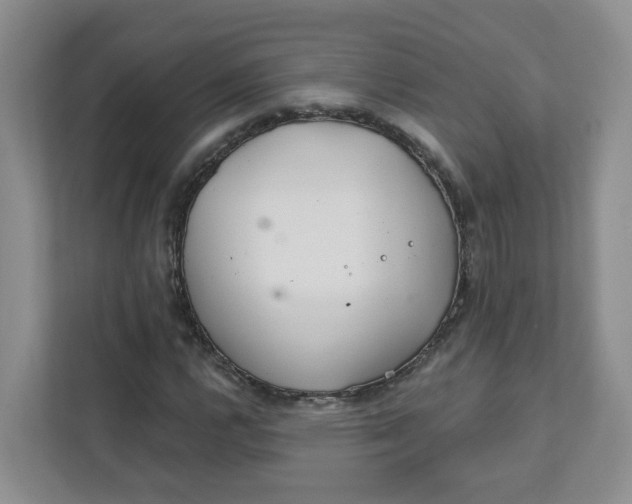 X0000111891112200908061328