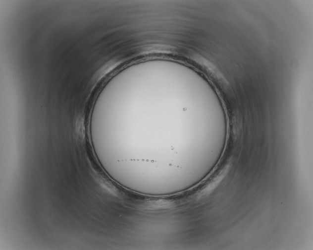 X0000111891113200908061328