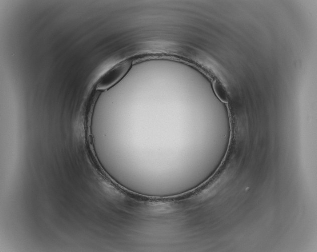 X0000111891114200908061328