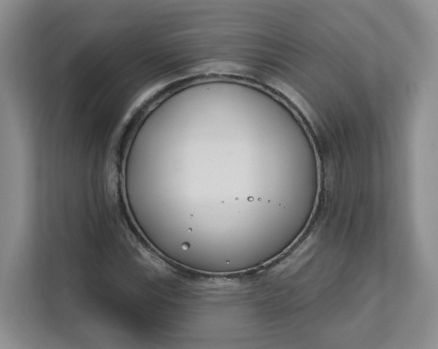 X0000111891115200908061328