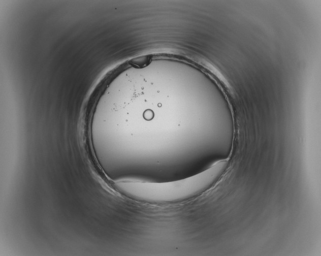 X0000111891116200908061328