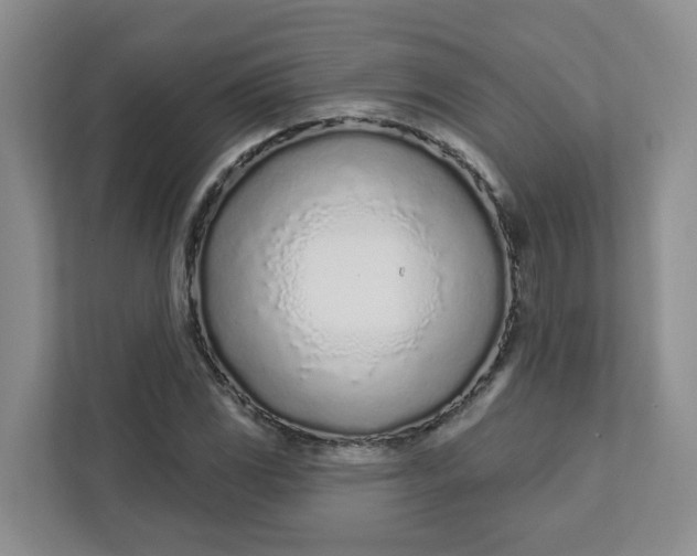 X0000111891117200908061328