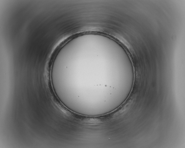 X0000111891119200908061328