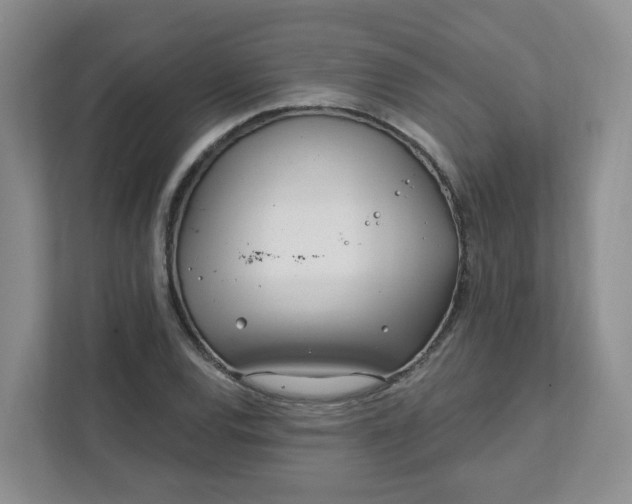 X0000111891120200908061328