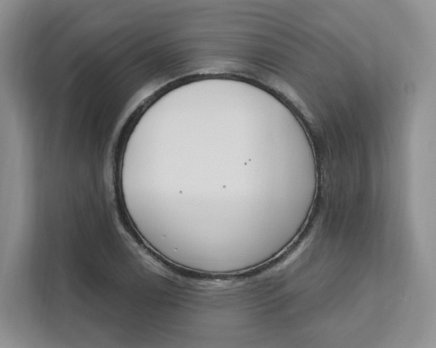 X0000111891122200908061328