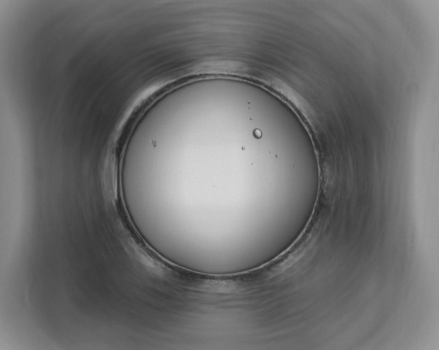 X0000111891123200908061328