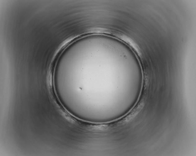 X0000111891125200908061328