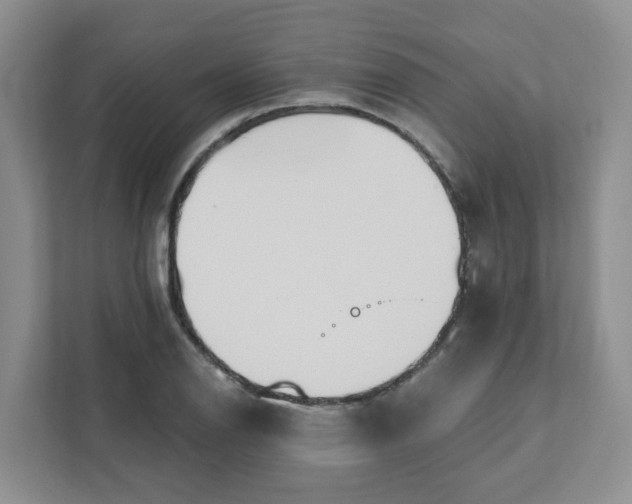 X0000111891126200908061328