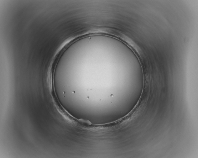 X0000111891127200908061328