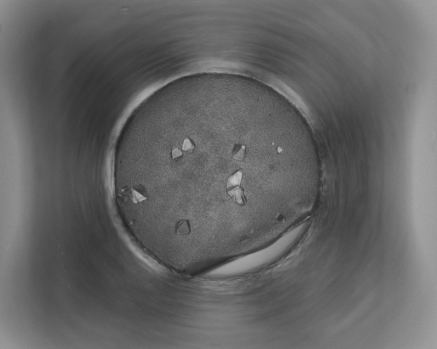 X0000111891128200908061328