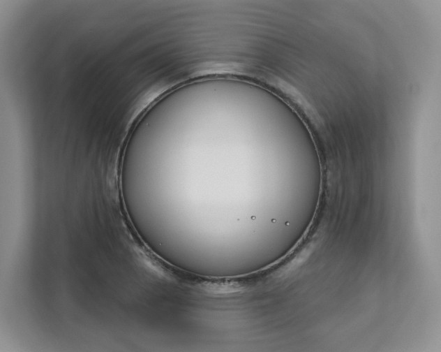 X0000111891129200908061328