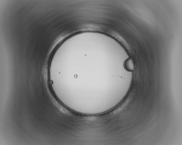 X0000111891130200908061328