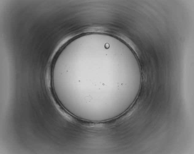 X0000111891131200908061328