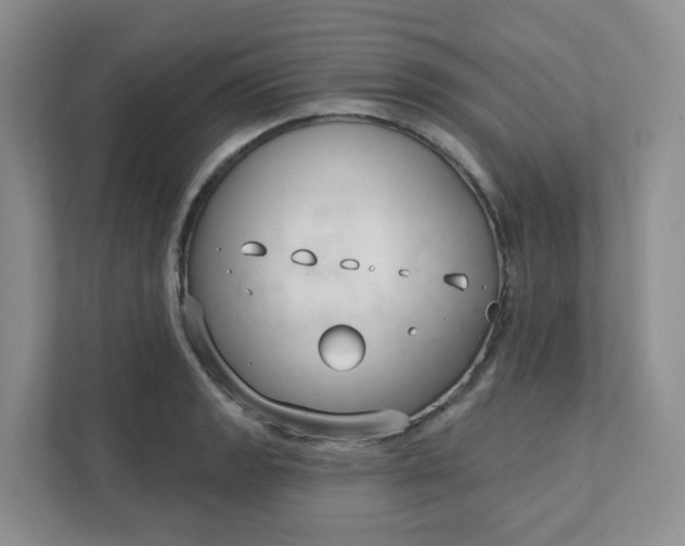 X0000111891133200908061328