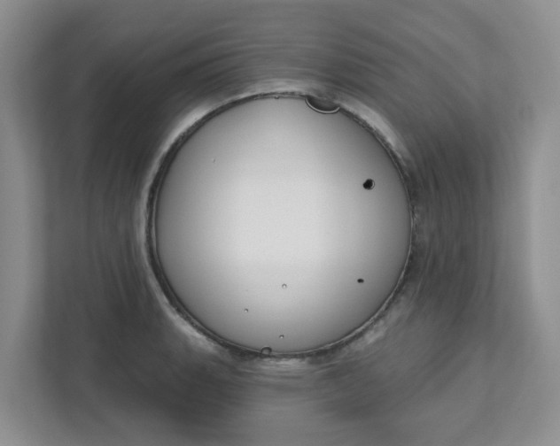 X0000111891135200908061328