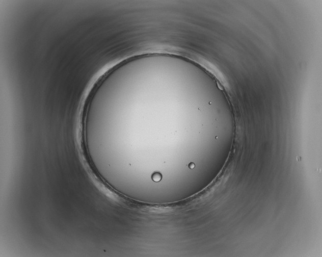 X0000111891136200908061329