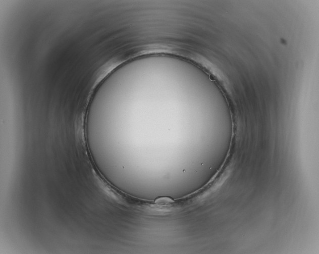 X0000111891137200908061329