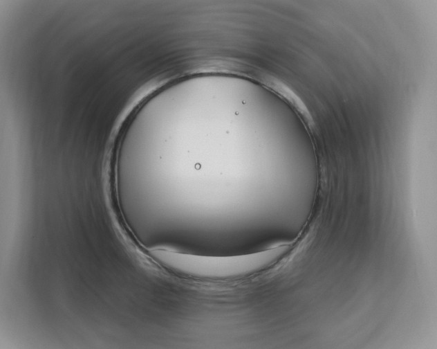 X0000111891138200908061329