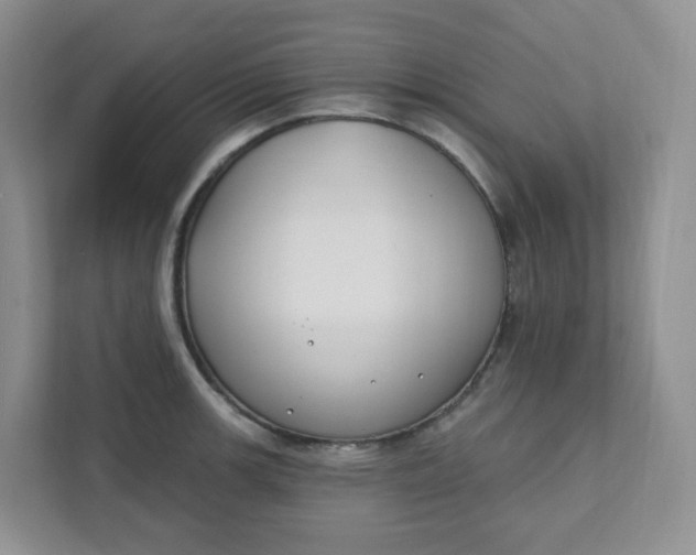 X0000111891139200908061329