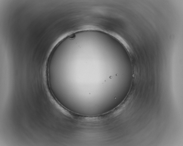 X0000111891142200908061329