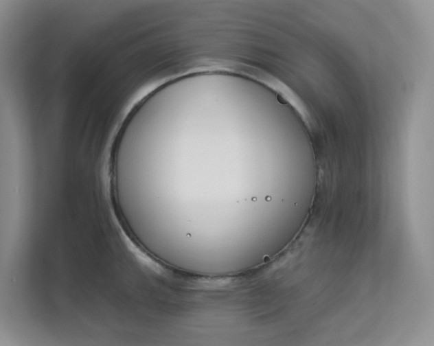 X0000111891143200908061329