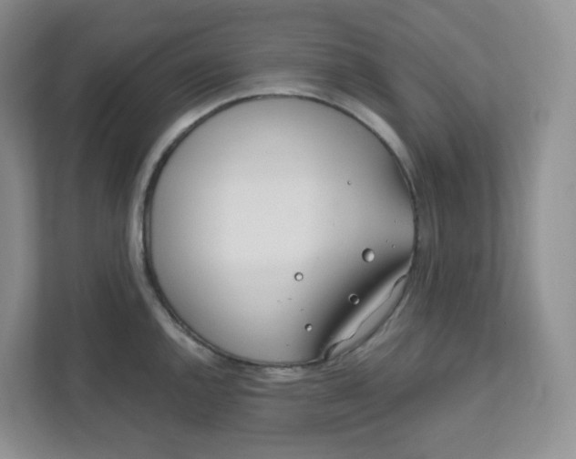 X0000111891144200908061329