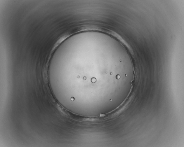 X0000111891145200908061329