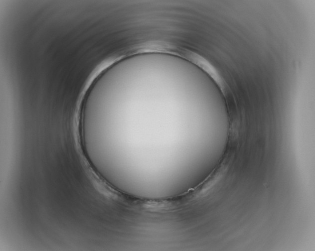 X0000111891146200908061329