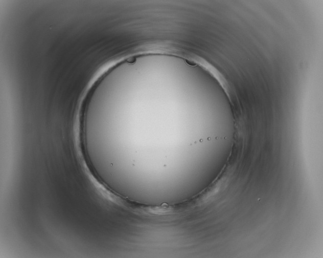 X0000111891147200908061329