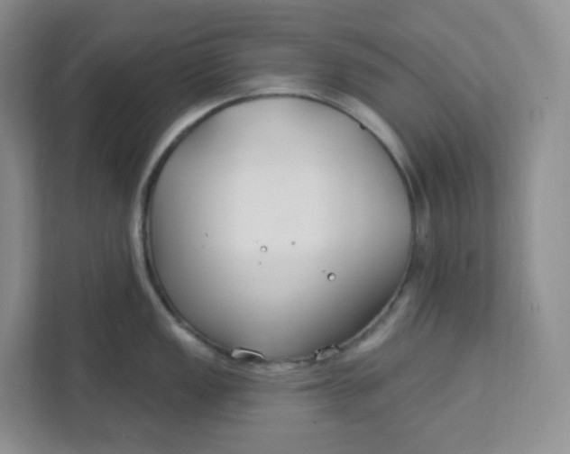 X0000111891149200908061329