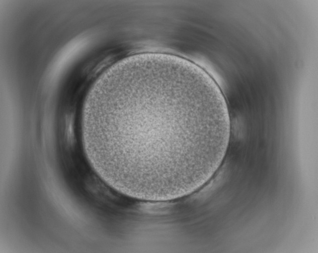 X0000111891150200908061329