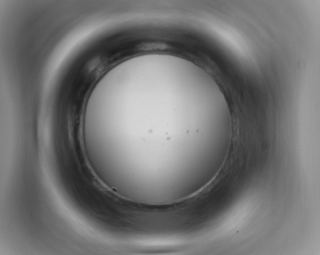 X0000111891151200908061329