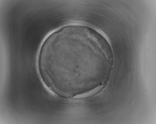 X0000111891152200908061329